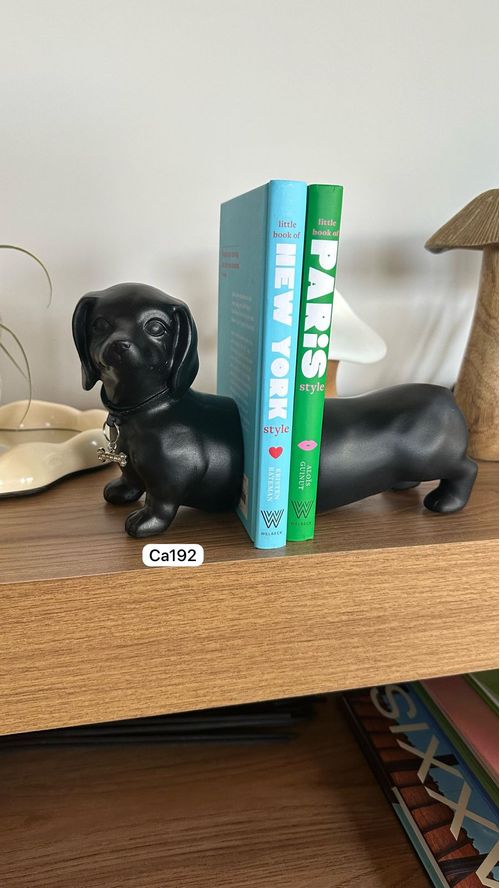 decorativo perro salchicha negro cuña libros